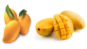 Kesar Mango